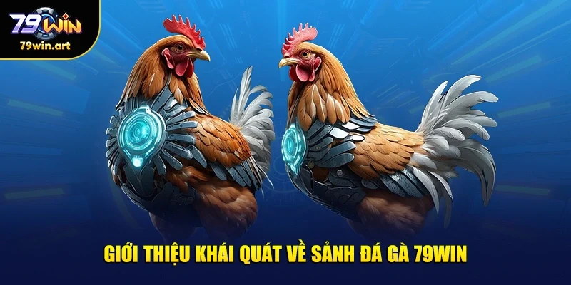 Giới thiệu khái quát về sảnh đá gà 79WIN