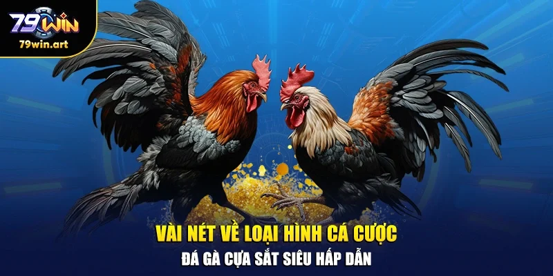 Vài nét về loại hình cá cược đá gà cựa sắt siêu hấp dẫn